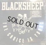 BLACK SHEEP / THE CHOICE IS YOURS 