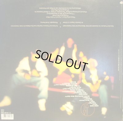 画像2: BUSH BABEES / GRAVITY  (GEMA-LP)