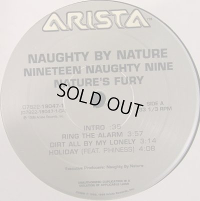 画像3: NAUGHTY BY NATURE ‎/ NINETEEN NAUGHTY NINE - NATURE'S FURY  (US-2LP)
