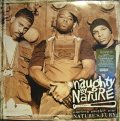 NAUGHTY BY NATURE ‎/ NINETEEN NAUGHTY NINE - NATURE'S FURY  (US-2LP)