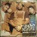 画像1: NAUGHTY BY NATURE ‎/ NINETEEN NAUGHTY NINE - NATURE'S FURY  (US-2LP) (1)