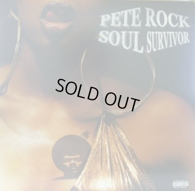 画像1: PETE ROCK / SOUL SURVIVOR (US-2LP)  (¥1000)