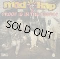 MADKAP / PROOF IS IN THE PUDDIN'  (¥1000)