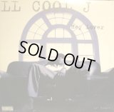 LL COOL J / HEY LOVER  (¥500)