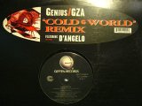 GENIUS / GZA FEATURING D'ANGELO ‎/ COLD WORLD (REMIX)