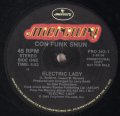 CON FUNK SHUN ‎/ ELECTRIC LADY