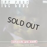ICE CUBE / CHECK YO SELF  (¥500)