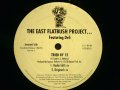 THE EAST FLATBUSH PROJECT / TRIED BY 12