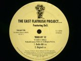 THE EAST FLATBUSH PROJECT / TRIED BY 12
