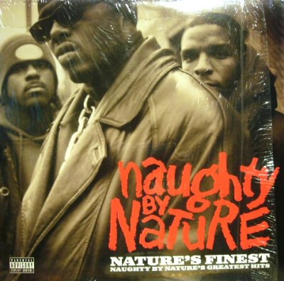 画像1: NAUGHTY BY NATURE ‎/ NATURE'S FINEST (NAUGHTY BY NATURE'S GREATEST HITS)  (US-2LP)