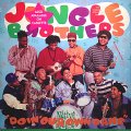 JUNGLE BROTHERS / DOIN' OUR OWN DANG