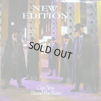 画像1: NEW EDITION ‎/ CAN YOU STAND THE RAIN (EXTENDED VERSION)