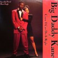 BIG DADDY KANE / CAUSE I CAN DO IT RIGHT  (¥1000)
