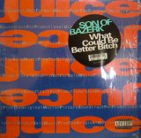 SON OF BAZERK ‎/ WHAT COULD BE BETTER BITCH
