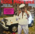 KOOL MOE DEE ‎/ HOW YA LIKE ME NOW  (US-LP)