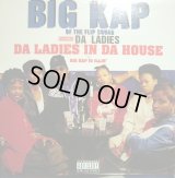 BIG KAP FEAT. DA LADIES ‎/ DA LADIES IN THE HOUSE  (¥500)