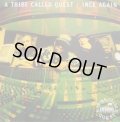A TRIBE CALLED QUEST / 1NCE AGAIN (UK)  (¥1000)