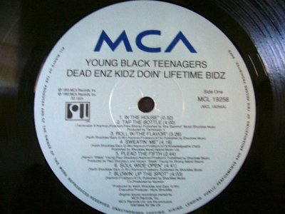 画像3: YOUNG BLACK TEENAGERS / DEAD ENZ KIDZ DOIN'LIFETIME BIDZ  (UK-LP) 