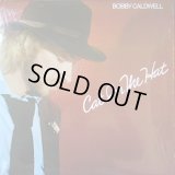 BOBBY CALDWELL ‎/ CAT IN THE HAT  (US-LP)