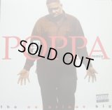 THE NOTORIOUS B.I.G. / BIG POPPA REMIX  (¥1000)