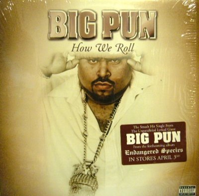 画像1: BIG PUN / HOW WE ROLL