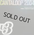 US3 / CANTALOOP 2004
