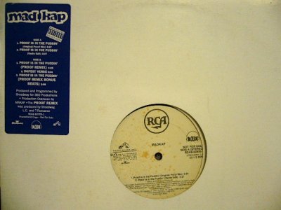 画像1: MADKAP / PROOF IS IN THE PUDDIN'  (US-PROMO)