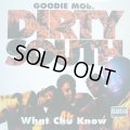 GOODIE MOB / DIRTY SOUTH  (¥500)