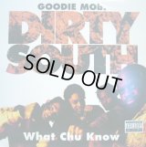 GOODIE MOB / DIRTY SOUTH  (¥500)