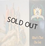 ANOTHA LEVEL / WHAT’S THAT CHA SAY  (¥500)