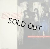 SHALAMAR / CAUTION: THIS LOVE IS HOT