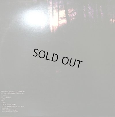 画像2: THA BLUE HERB /　SELL OUR SOUL　　（２LP）