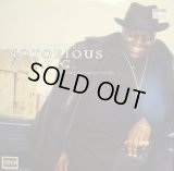 THE NOTORIOUS B.I.G. ‎/ NOTORIOUS B.I.G.  (¥1000)