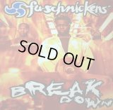FU-SCHNICKENS / BREAKDOWN   (¥500)