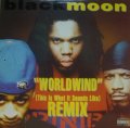 BLACK MOON / WORLDWIND ( THIS IS WHAT IT SOUNDS LIKE )  (¥500)