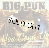 BIG PUNISHER / YOU CAME UP  (¥500)