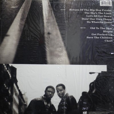 画像2: NICE & SMOOTH / JEWEL OF THE NILE (US-LP)