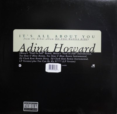 画像1: ADINA HOWARD / IT'S ALL ABOUT YOU