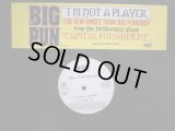 BIG PUNISHER ‎/ I'M NOT A PLAYER (US-PROMO)