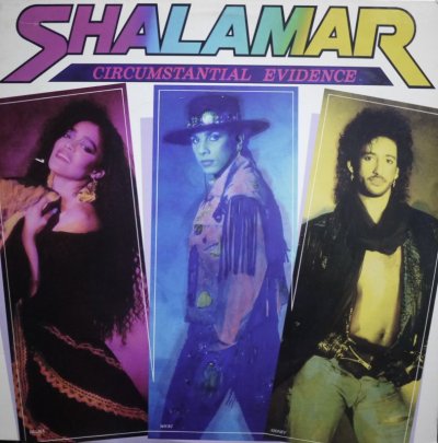 画像1: SHALAMAR / CIRCUMSTANTIAL EVIDENCE (US-LP)