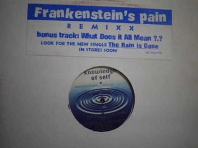 画像1: FRANKENSTEIN / WHAT DOES IT ALL MEAN / THE PAIN REMIXX