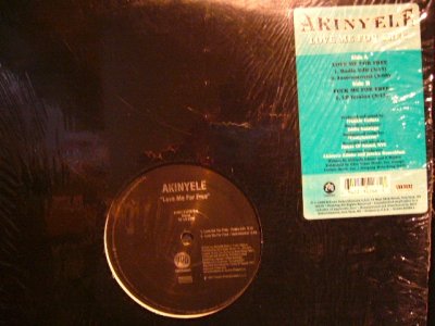 画像1: AKINYELE / LOVE ME FOR FREE (¥500)