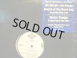 KRS-ONE / RETURN OF THE BOOM BAP (¥1000)