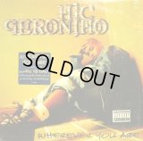 MIC GERONIMO ‎/ WHEREVER YOU ARE (¥1000)