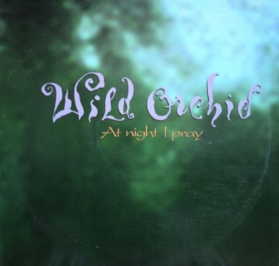 画像1: WILD ORCHID / AT NIGHT I PRAY