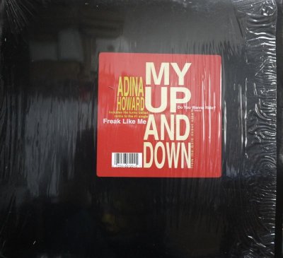 画像1: ADINA HOWARD / MY UP AND DOWN