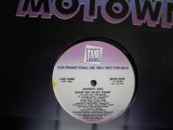 JOHNNY GILL / WRAP MY BODY TIGHT (US-PROMO)
