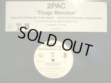2PAC FEAT. ANTHONY HAMILTON / NAS / J. PHOENIX ‎/ THUGZ MANSION (¥1000)
