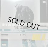 NOI.D. / SKY'S THE LIMIT (¥500)