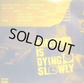 V.A. ‎/ AMERICA IS DYING SLOWLY (US-2LP) (¥1000)